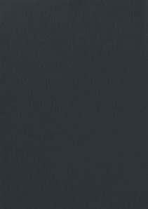 RENOLIT EXOFOL PX ANTHRAZITGRAU 7016 
